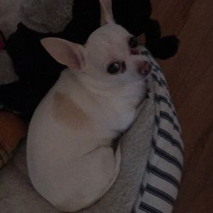 Meet your Posher, Christine